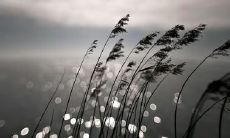 关于诉说悲伤、沉痛而又动人心弦的唯美语句:探寻情感的深度与哲学的宽广