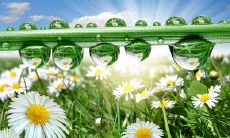 给你的好友发短信问候的温暖信息，让他们感受到你的关怀和爱意！