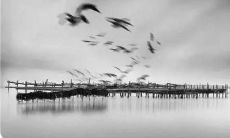 一生之中最重要的品德座右铭:道德准则的力量塑造着我们的人格与品格