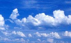 如何用母婴问候短信增进亲子关系并提高宝宝健康幸福指数？