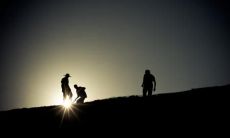 探寻学术世界中最为经典的学者座右铭:启迪心智、激励前行的智慧箴言!