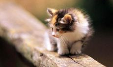 如何寻找一个简单而有效的座右铭?