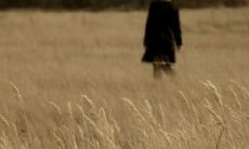 如何面对思念爱人而引发的心痛之痛苦难耐的情感？