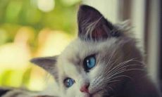 探寻失去和心痛之痛的深度:一系列描述悲伤和痛苦的句子