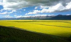 拥抱积极人生态度的励志座右铭，激发自我成长和发展的积极心态