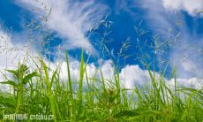 「在自然中汲取灵感并以其为座右铭」