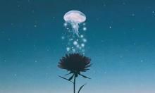 临别不舍的痛苦话语：告别时的困扰与伤痛