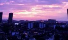 富有表现力的描述心痛的常用成语及句子推荐