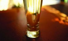 从内心深处流淌出的淡淡情感——一组抒情人生句子