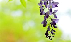 探寻诗经中关于家庭亲情的深刻措辞和赞颂