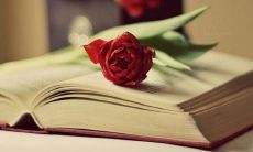 52句充满抒情的唯美句子展现人类内心的情感世界