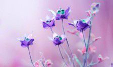 精彩纷呈、甜蜜有爱的亲情生活：描述亲情深厚的句子