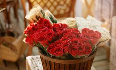 发出初次短信问候语的技巧和实用建议，帮助您在职场和社交场合中展现出优秀的礼仪素养和人际关系技能