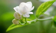 周二定期发送给客户的问候短信，旨在保持联系并增进客户与企业间的信任关系！