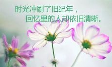 不懈努力学习、鼓舞人心的积极向上人物——座佑铭