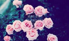 思念亲人的短语集锦" -> "短而贴切的表达亲情思念的短语汇总