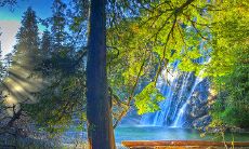 运用积极正能量的句子，有效提高商业活动的效果和成果