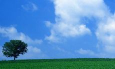 下午好，如何保持良好的身心状况以便在短信问候中表现精神矍铄？