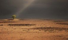 ——从现实中汲取人生智慧:记录那些让我们心有戚戚之感的经典生活语录