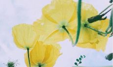 用温暖的话语祝福朋友，让TA感受到心灵的温暖和关怀