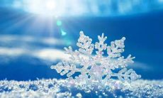 在飘雪的季节中领悟人生意义的润物无声的下雪感言