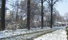 一份充满温暖和祝福的祝福语，献给各位即将踏上大学之路的年轻人们！