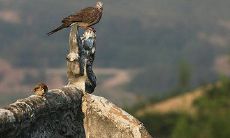 在美好的新一天开始之际,送上温暖的祝福语,愿你的每一个早晨都充满喜悦和能量!