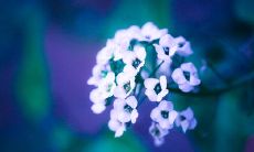 从朋友到陌生人:揭示友情变质的荒谬场景