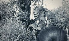 《如何从安妮宝贝的句子中领悟良好友情的真谛》