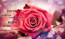 友情胜过爱情:当爱情难以匹敌友情的时候!