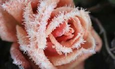 探寻跨越两代人的情谊之道:呈现那些温暖而感人的友谊句子