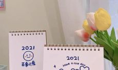 2023年元旦简短祝福语:愿新年带来幸福、健康和繁荣!