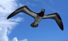 2021年年会：激情澎湃的霸气业绩冲刺口号汇聚！