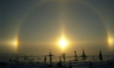 淡水之交：探索君子之间淡如水的友情