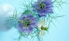 令人感动的表述代表着闺蜜之间深厚的友情,感人至深的句子盘点!