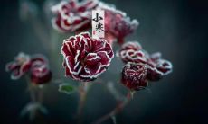 一起来分享2022年小寒节气的有趣、温馨或寓意深刻的说说句子吧!