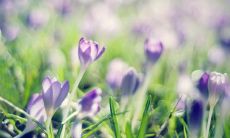 在离别时表达不开心和伤感心情的句子：离开后悔和伤感的说说句子