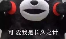 迎接2021年双11独身狗解救计划：抓住TA的心，用这些浪漫又温馨的表白句子，轻松脱单！