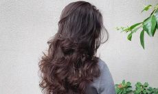 自从我的头发愈发飘逸,我的开心心情不断升华的词语