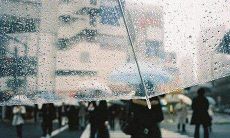 在雨中伤感的经典句子和表达方式:一个人在雨中的悲伤说说