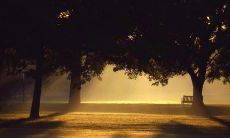 感到无人可依靠和被友情背叛的表述，使人怀疑自己是否有真正的朋友或友谊的存在意义