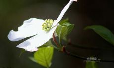 探究如何写出让同学们开心的句子,以及如何用语言形式表现出同学们欢快的样子