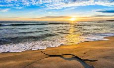 展现情感深邃的快手作品:涵盖伤感短句、打动人心的创作