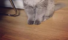 生气、沮丧、失落？描述不快情绪的短句大集合