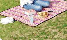 愉快的野餐时光:分享美食、欢笑和美好回忆的难忘体验