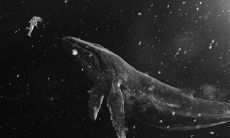 对于感情与人生的不满与失望所述的令人深刻印象的句子