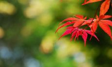 欢乐相伴，开怀畅谈——一张充满友谊和欢笑的图片