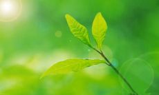 只有在孩子开心的情况下，无论你采用什么方式都是可行的呢！