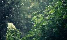 如何解决自我关注和焦虑所带来的源源不断的内心烦躁?