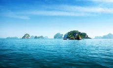 夜间场所向客人发送短小精悍的问候短信